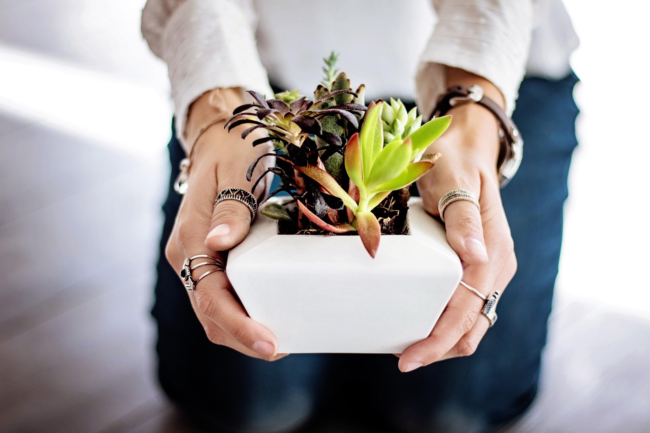 Schnelle Zubereitung